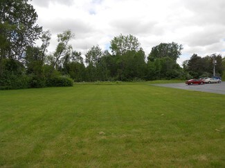 Plus de détails pour 580 State Rd, Vassar, MI - Terrain à vendre
