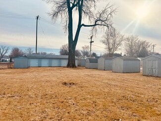 Plus de détails pour 801 E Bridge St, Streator, IL - Spécialisé à vendre
