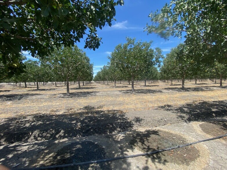 8307 S Contra Costa Rd, Tranquillity, CA à vendre - Photo de l’immeuble – Image 3 sur 3