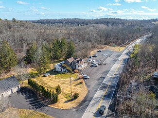 Plus de détails pour 7349 Easton Rd, Pipersville, PA - Local commercial à vendre