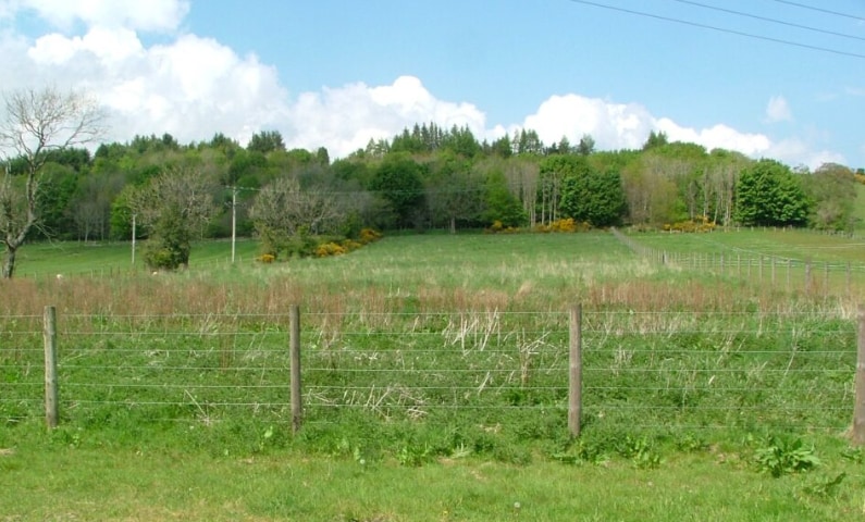 View Photo