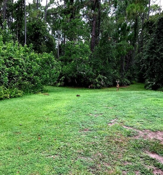 2380 Shepherd Ave, Saint Cloud, FL à vendre - Photo de l’immeuble – Image 2 sur 6