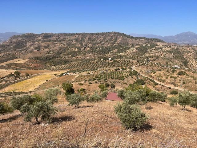 Calle Gibralmora, 10, Pizarra, Málaga à vendre - Aérien – Image 1 sur 24