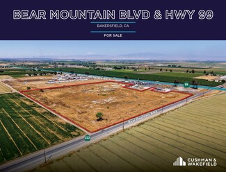 Plus de détails pour Bear Mountain blvd, Bakersfield, CA - Terrain à vendre