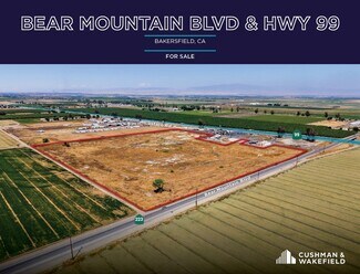Plus de détails pour Bear Mountain blvd, Bakersfield, CA - Terrain à vendre