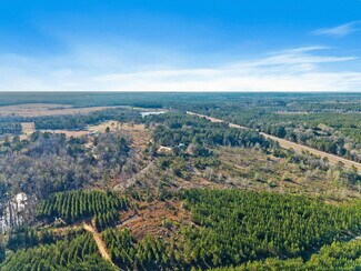 Plus de détails pour 55750 Lottie Rd, Perdido, AL - Terrain à vendre