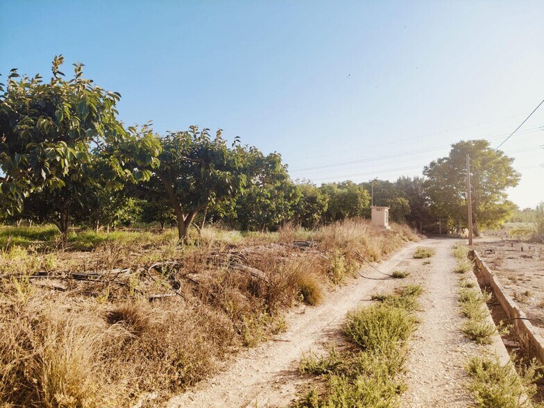 Terrain dans Alzira, Valencia à vendre - Photo de l’immeuble – Image 2 sur 2