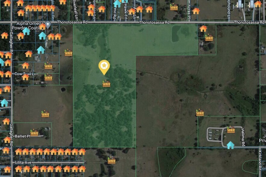 Thonotosassa Road, Dover, FL à vendre - Aérien – Image 2 sur 23