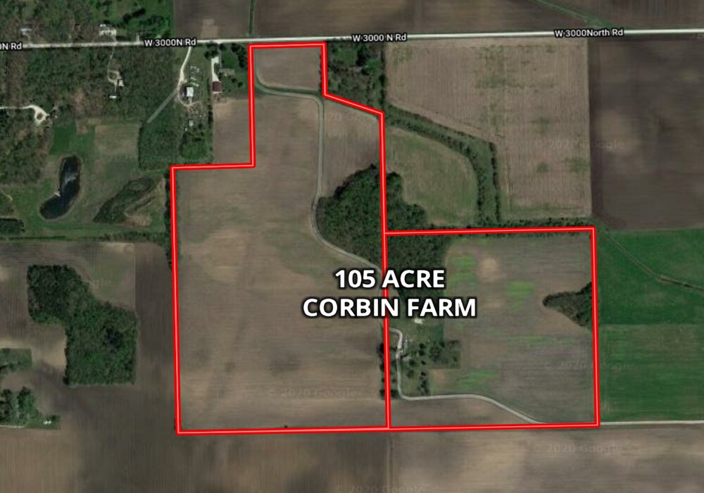 W 3000 N Road, Bonfield, IL à vendre Photo principale– Image 1 sur 2