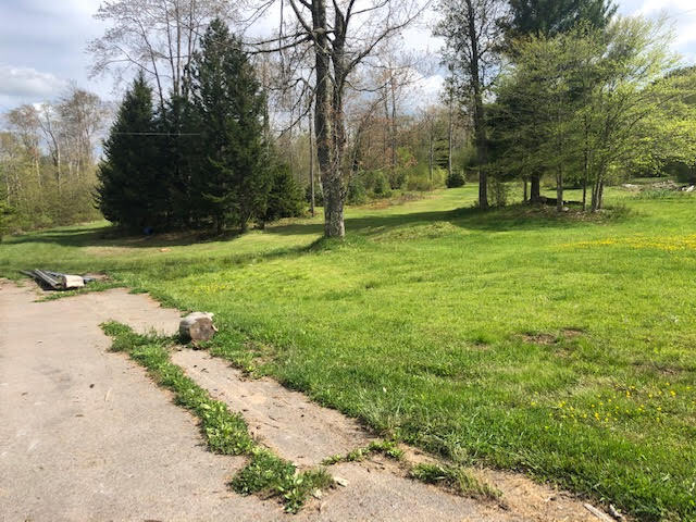 Route 250/92 Durbin, WV, Huttonsville, WV à vendre - Photo de l’immeuble – Image 3 sur 5