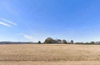 Plus de détails pour 4035 US Hwy 411, Rydal, GA - Terrain à vendre