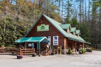 Plus de détails pour 10932 Rosman Hwy, Lake Toxaway, NC - Local commercial à vendre