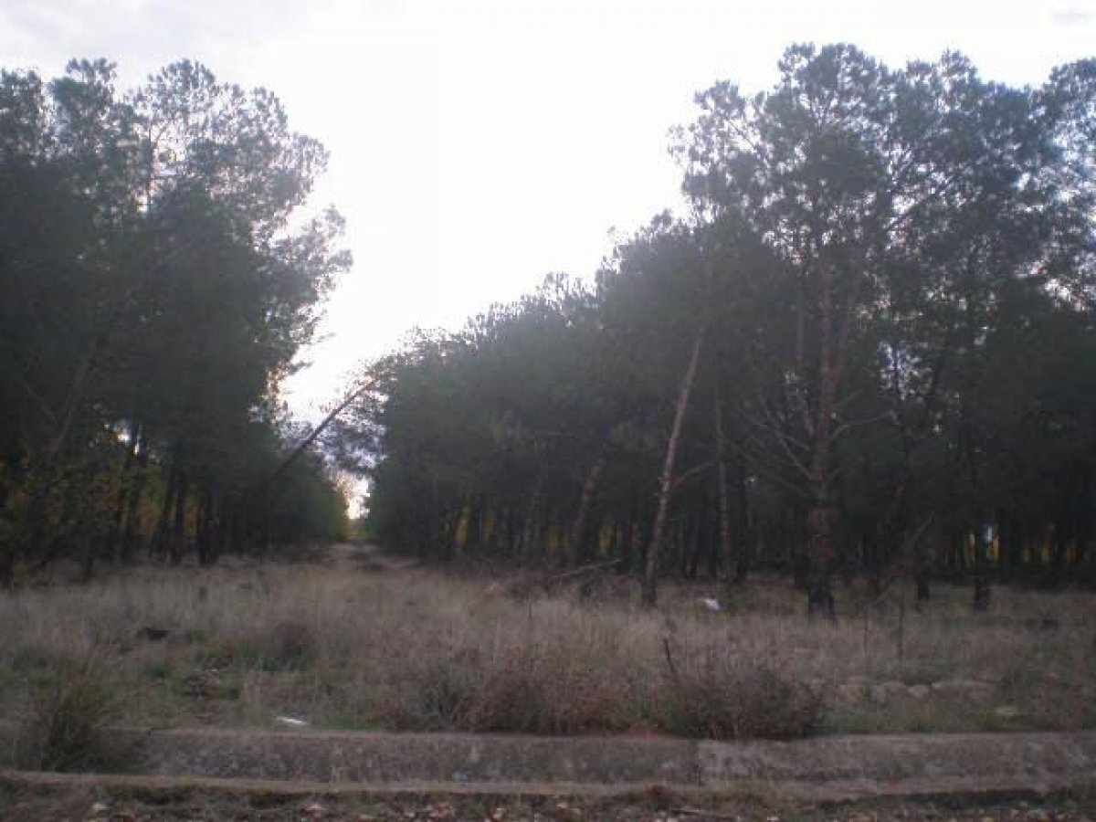 Terrain dans Salamanca, Salamanca à vendre Photo principale– Image 1 sur 4