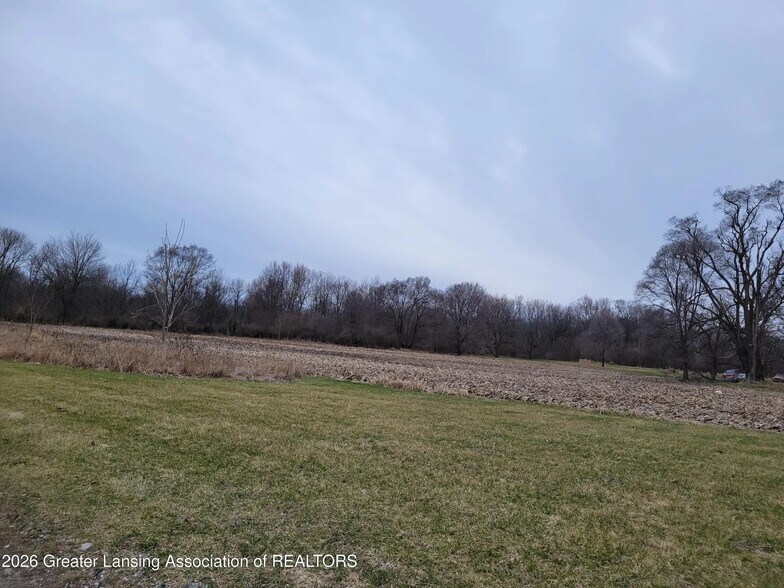 0 M21 Hwy, Ovid, MI à vendre - Photo principale – Image 1 sur 5