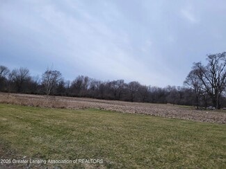 Plus de détails pour 0 M21 Hwy, Ovid, MI - Terrain à vendre