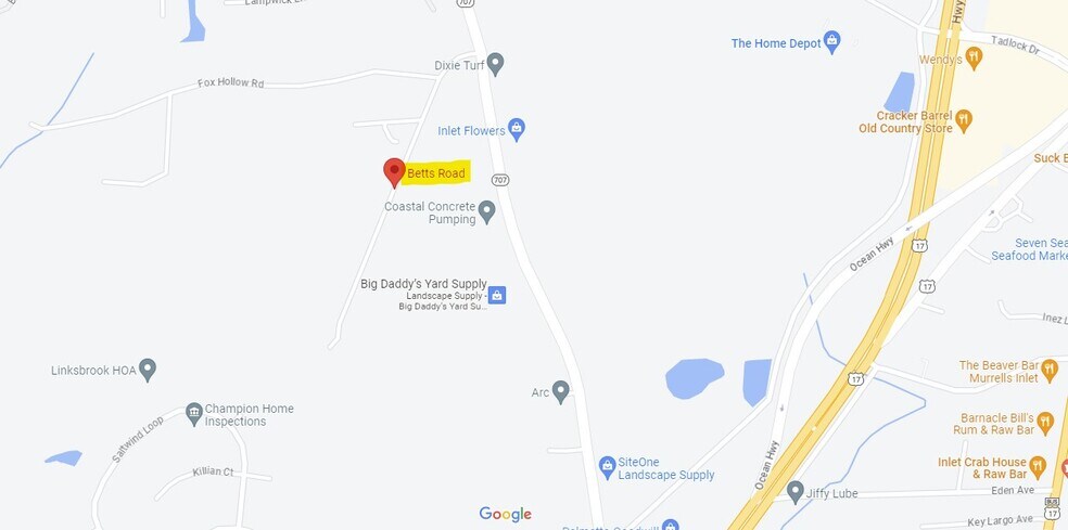 32 Acres Betts Road, Murrells Inlet, SC à vendre - Photo de l’immeuble – Image 2 sur 2
