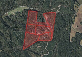Plus de détails pour 451 Cox Hollow Rd, Dover, TN - Terrain à vendre
