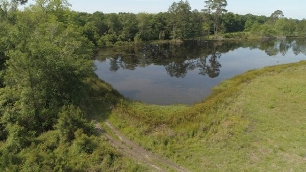 Hwy 280 W, Hagan, GA à vendre - Photo de l’immeuble – Image 3 sur 4