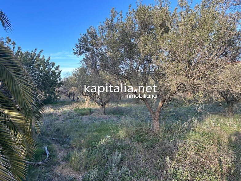 Terrain dans Ontinyent, Valencia à vendre - Photo principale – Image 2 sur 13