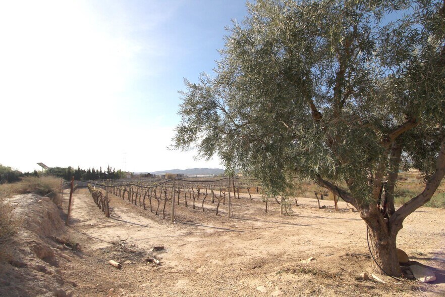 Terrain dans Monforte del Cid, Alicante à vendre - Photo de l’immeuble – Image 1 sur 2