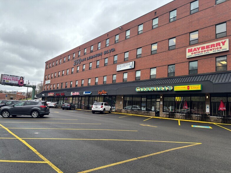 250 Mt Lebanon Blvd, Pittsburgh, PA à louer - Photo de l’immeuble – Image 3 sur 19