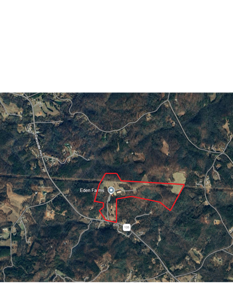 4700 Dacusville Hwy, Marietta, SC à vendre - Photo de l’immeuble – Image 2 sur 3