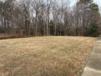 Plus de détails pour 300 Hioaks Road, Richmond, VA - Terrain à vendre