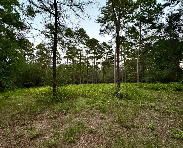 4955 FM 1374 Rd, Huntsville, TX à vendre - Photo de l’immeuble – Image 3 sur 23
