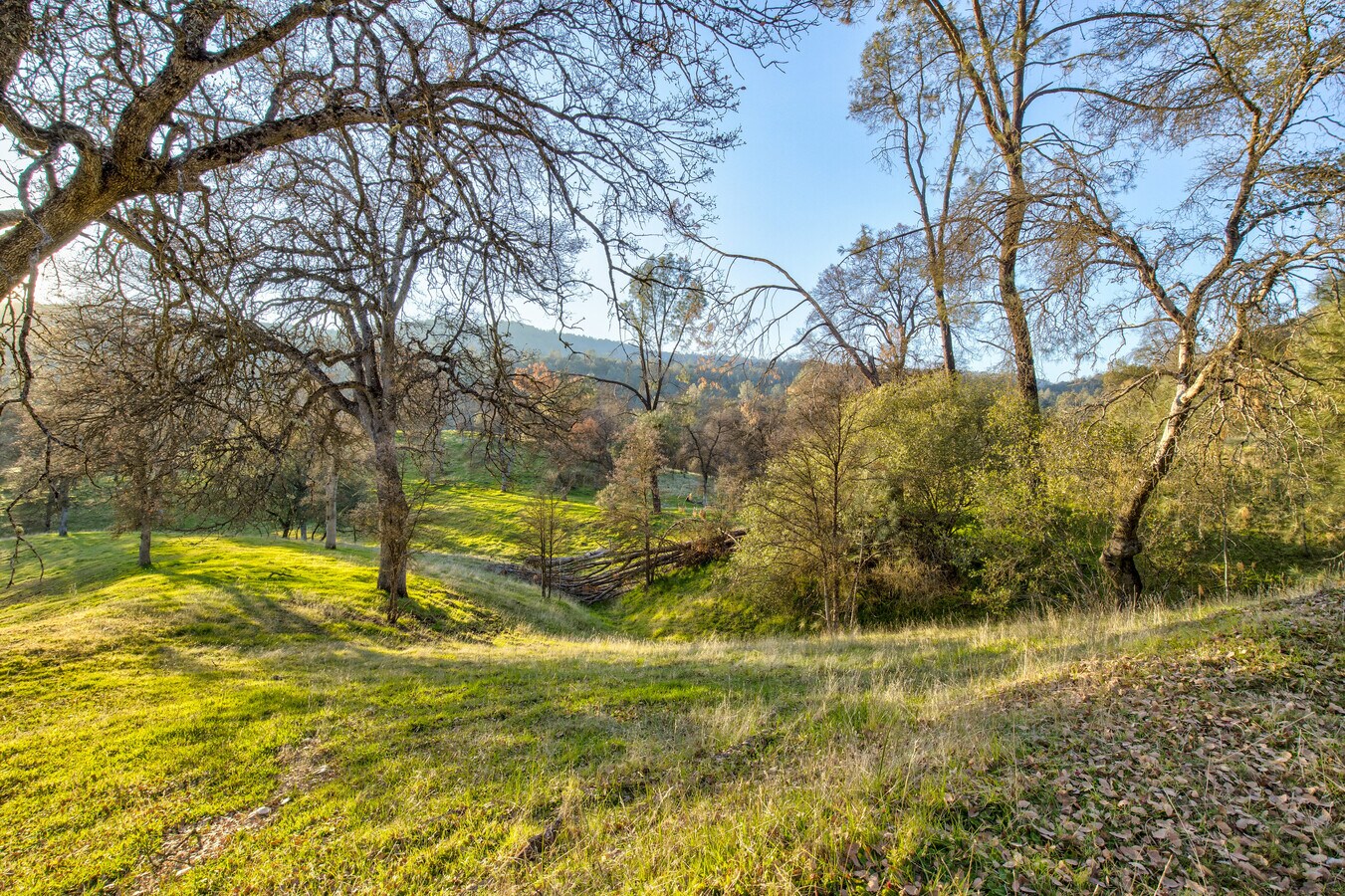 View Photo