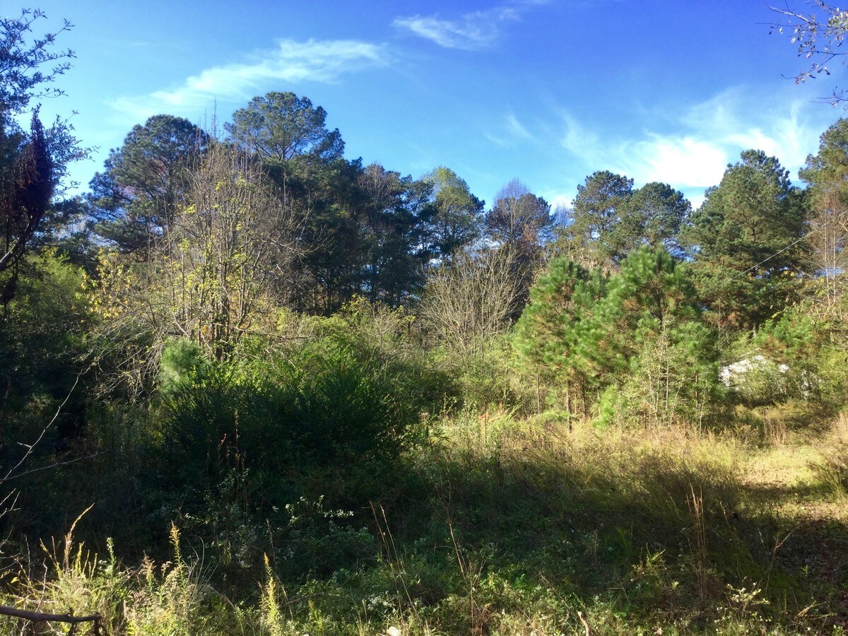 View Photo