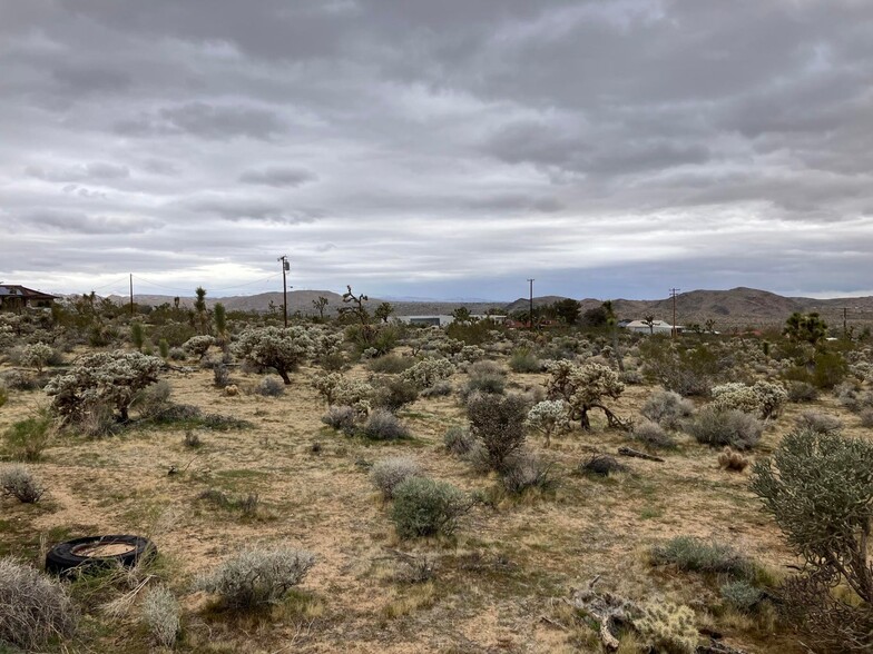 60926 Alta Vista Dr, Joshua Tree, CA à vendre - Autre – Image 3 sur 8