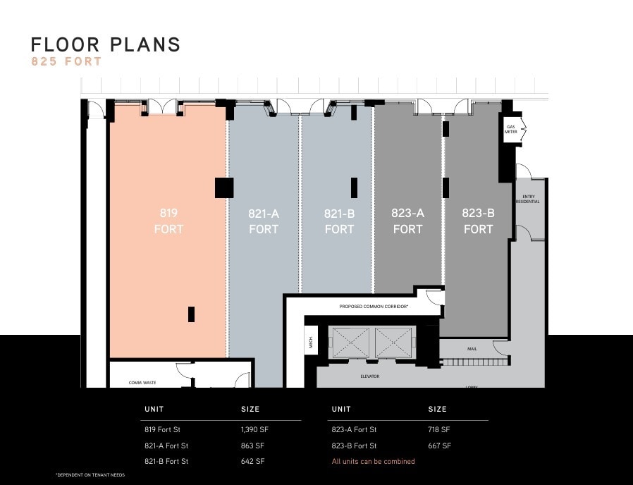 825 Fort St, Victoria, BC à louer Plan d’étage– Image 1 sur 1