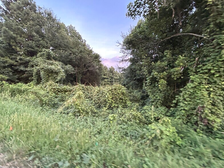 Old Plank Rd, Lowesville, NC à vendre - Autre – Image 2 sur 3