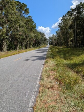 Plus de détails pour 18011 N US Hwy 301, Citra, FL - Terrain à vendre