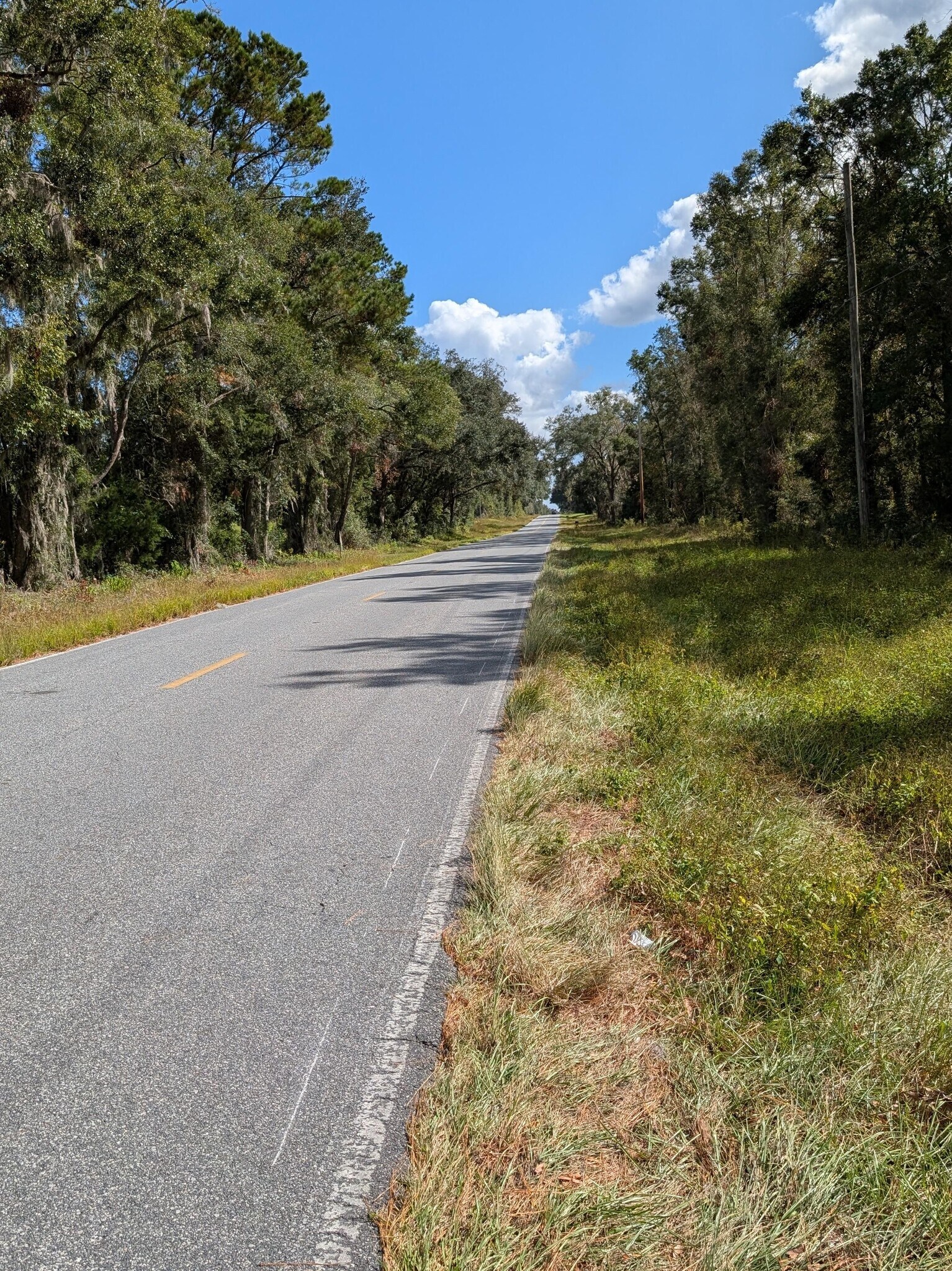 18011 N US Hwy 301, Citra, FL à vendre Photo principale– Image 1 sur 12
