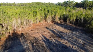 Plus de détails pour 319 - 547 Sisters Ferry Road, Ridgeland, SC - Terrain à vendre