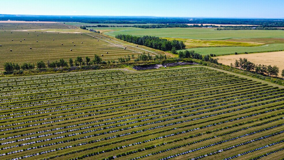 705068 82 -1, Wembley, AB à vendre - Photo de l’immeuble – Image 2 sur 55