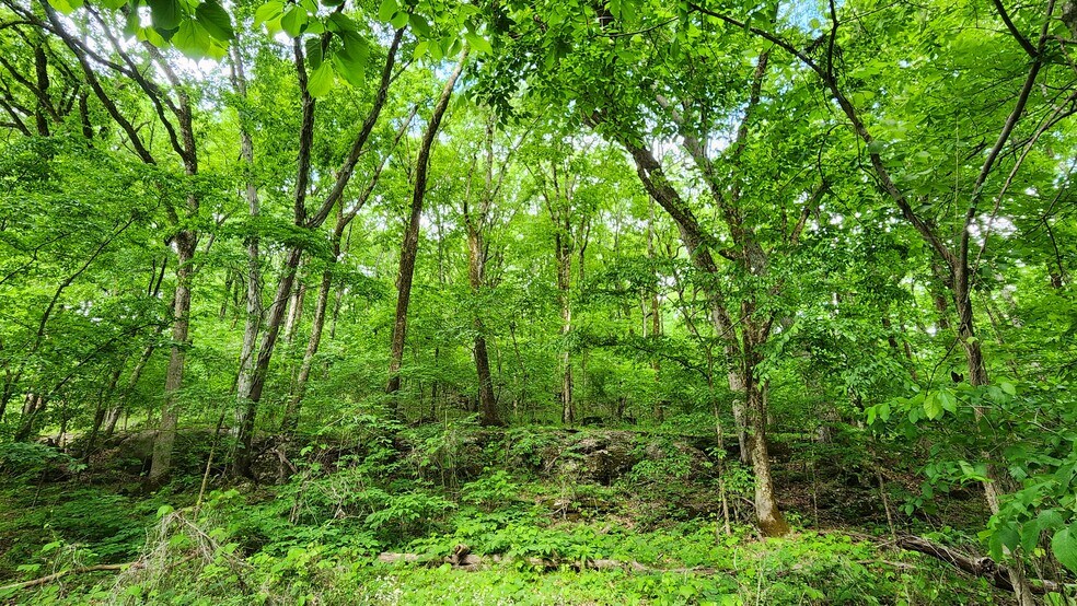 Near 5370 Deerfoot Parkway Pky, Trussville, AL à vendre - Photo de l’immeuble – Image 1 sur 15