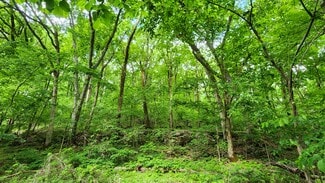 Plus de détails pour Near 5370 Deerfoot Parkway Pky, Trussville, AL - Terrain à vendre