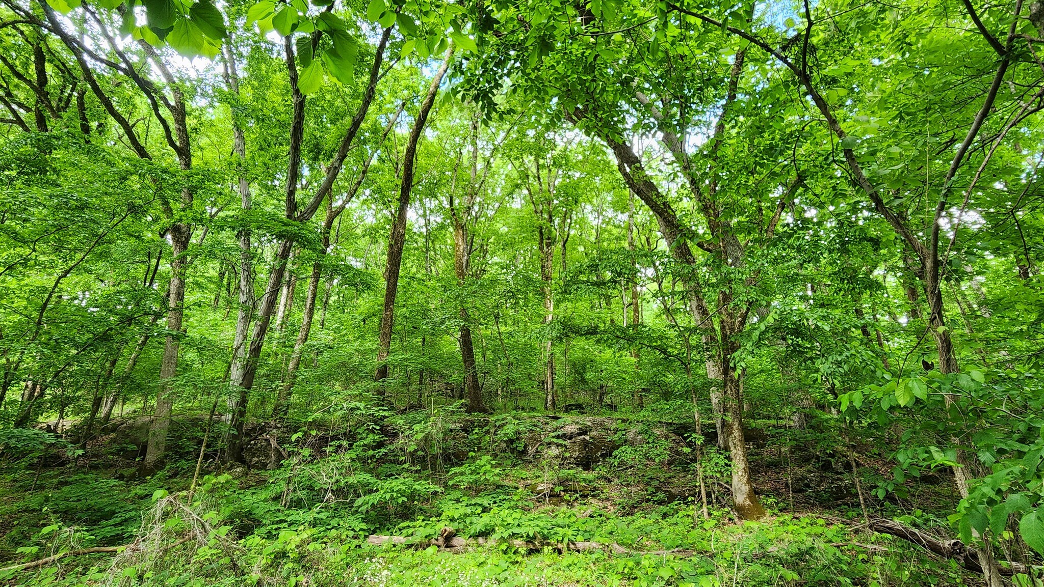 Near 5370 Deerfoot Parkway Pky, Trussville, AL à vendre Photo de l’immeuble– Image 1 sur 16