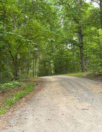 Plus de détails pour 00 00 Youngstown Rd, Goochland, VA - Terrain à vendre