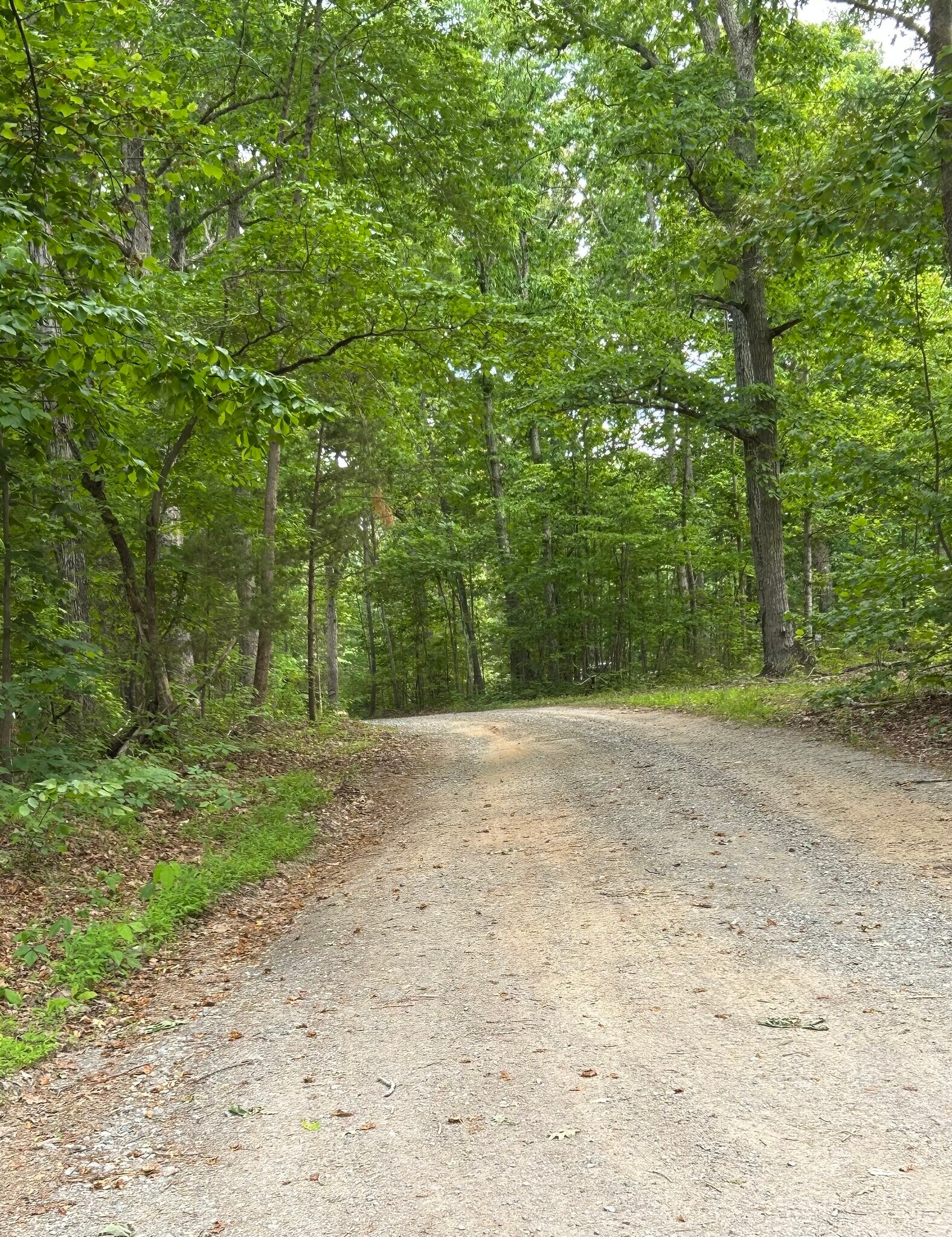 00 00 Youngstown Rd, Goochland, VA à vendre Photo de l’immeuble– Image 1 sur 15