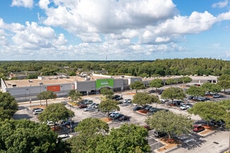 Plus de détails pour 10817-10863 Bloomingdale Ave, Riverview, FL - Local commercial à louer