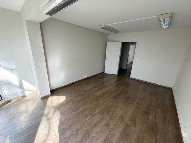 22 Rue Robert, Lyon à louer - Photo intérieure – Image 3 sur 22