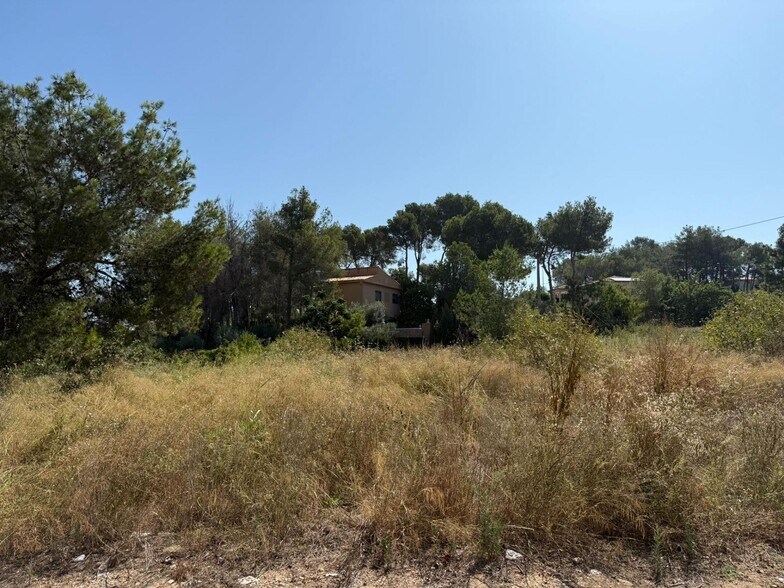 Terrain dans Alberic, Valencia à vendre - Photo principale – Image 3 sur 8