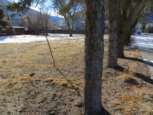 417 N River St, Hailey, ID à vendre Photo principale– Image 1 sur 3