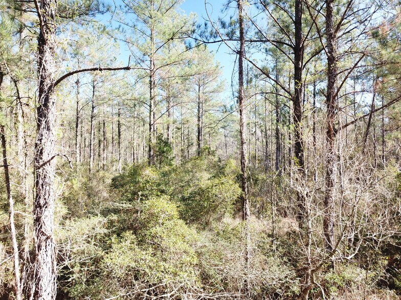 Corrigan Road, Vidor, TX à vendre - Photo de l’immeuble – Image 1 sur 32