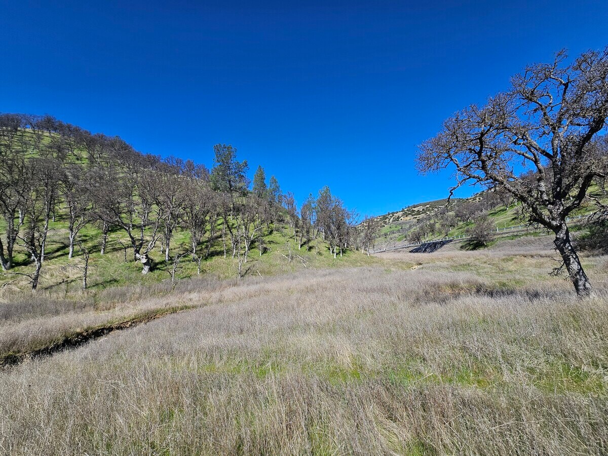 View Photo