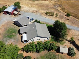 Plus de détails pour 19836 Corning Rd, Corning, CA - Spécialisé à vendre