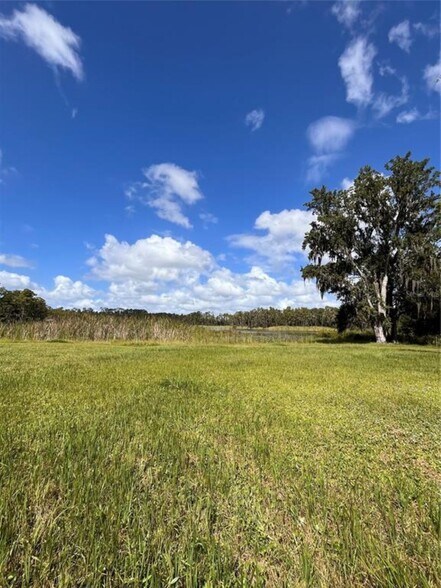 1029 Van Dyke Rd, Lutz, FL à vendre - Photo de l’immeuble – Image 2 sur 17